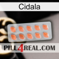 Cidala 26